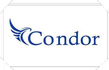 condor