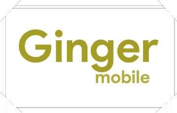 ginger