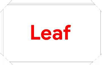 leaf