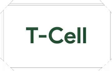 t-cell